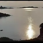 Ulivi 17