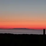Ulivi 17 *