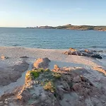 Ulivi 17 *