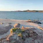 Ulivi 17 아파트 *