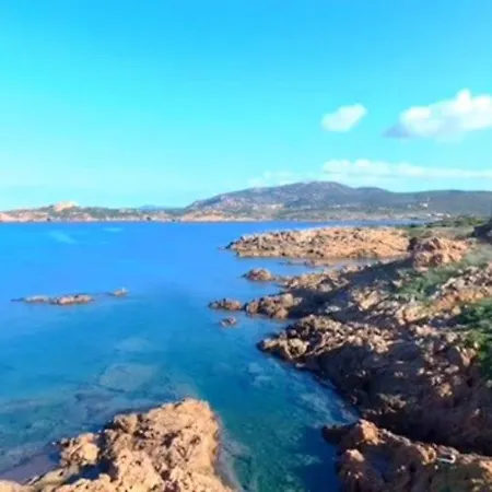 Ulivi 17 Апартаменты