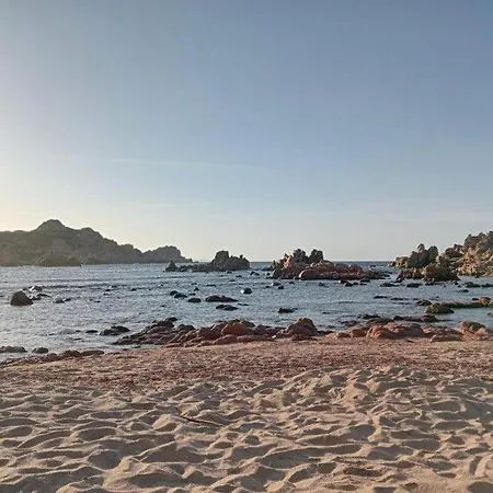 Ulivi 17 Апартаменты